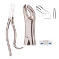 Extracting Forceps S5402