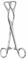 GUY TONGUE FORCEPS  S7418