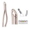 Extracting Forceps S5408
