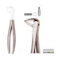 Extracting Forceps S5467