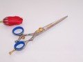 Professional Barber Scissors S14548