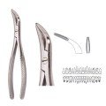 Extracting Forceps S5394