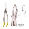 Extracting Forceps S5434
