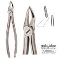 Extracting Forceps S5458