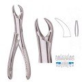 Extracting Forceps S5442