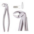 Extracting Forceps S5452