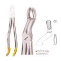 Extracting Forceps S5433