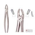 Extracting Forceps S5477