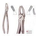 Extracting Forceps S5459