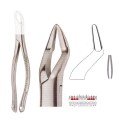 Extracting Forceps S5419