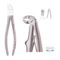 Extracting Forceps S5446