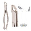 Extracting Forceps S5398