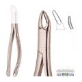 Extracting Forceps S5407
