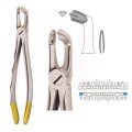 Extracting Forceps S5426