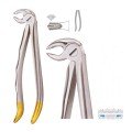 Extracting Forceps S5429
