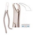 Extracting Forceps S5403