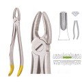 Extracting Forceps S5440