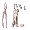 Extracting Forceps S5461