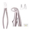 Extracting Forceps S5447