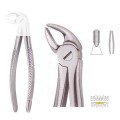 Extracting Forceps S5449