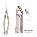 Extracting Forceps S5409