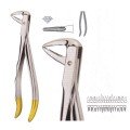 Extracting Forceps S5427