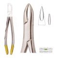 Extracting Forceps S5424