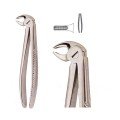 Extracting Forceps S5471