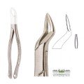 Extracting Forceps S5415
