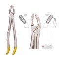 Extracting Forceps S5438