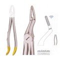 Extracting Forceps S5432