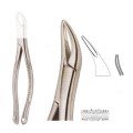 Extracting Forceps S5414