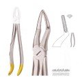 Extracting Forceps S5435