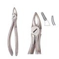 Extracting Forceps S5464
