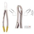 Extracting Forceps S5422