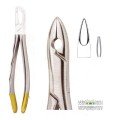 Extracting Forceps S5425
