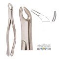 Extracting Forceps S5399