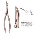 Extracting Forceps S5406