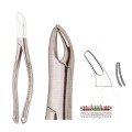 Extracting Forceps S5418