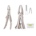 Extracting Forceps S5455