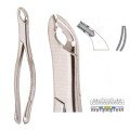 Extracting Forceps S5397