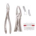 Extracting Forceps S5454