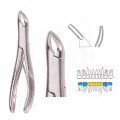 Extracting Forceps S5441