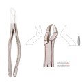 Extracting Forceps S5413