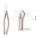 Extracting Forceps S5412
