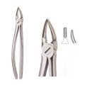 Extracting Forceps S5475