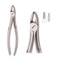 Extracting Forceps S5463