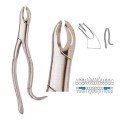 Extracting Forceps S5405