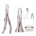 Extracting Forceps S5456