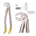 Extracting Forceps S5431